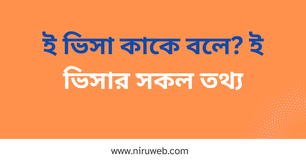 ই ভিসা কাকে বলে? ই ভিসার সকল তথ্য